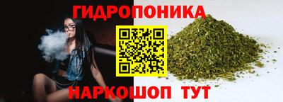 PSILOCYBIN Кунгур
