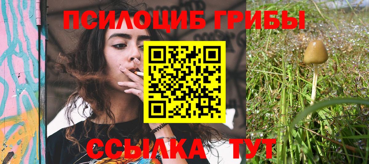 дарнет шоп  Галлюциногенные грибы прущие грибы  Славянск-на-Кубани  Вход с VPN  Псилоцибиновые грибы Cubensis 